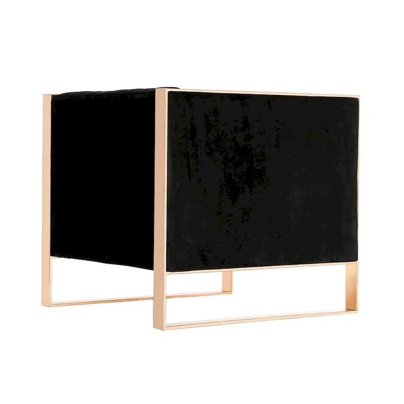 Fauteuil d’appoint en velours à cadre doré Manhattan Comfort Trillium (lot de 2)