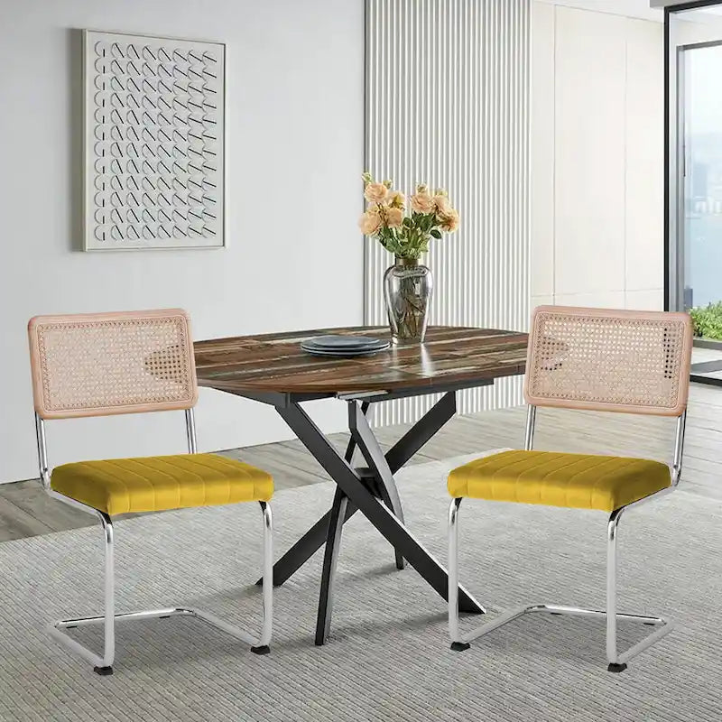 Lot de 2 chaises de salle à manger en rotin rembourrées de velours